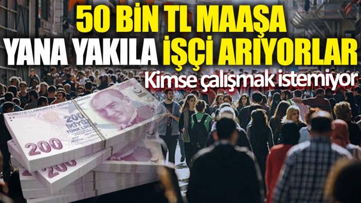 50 bin TL maaşa yana yakıla işçi arıyorlar: Kimse çalışmak istemiyor