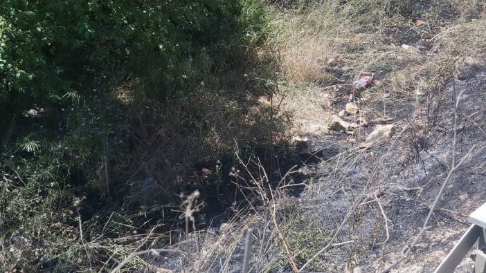 Akli dengesi bozuk şahıs çalıları ateşe verdi