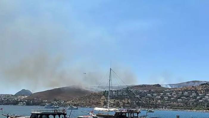 Bodrum'da ot yangını panik yarattı