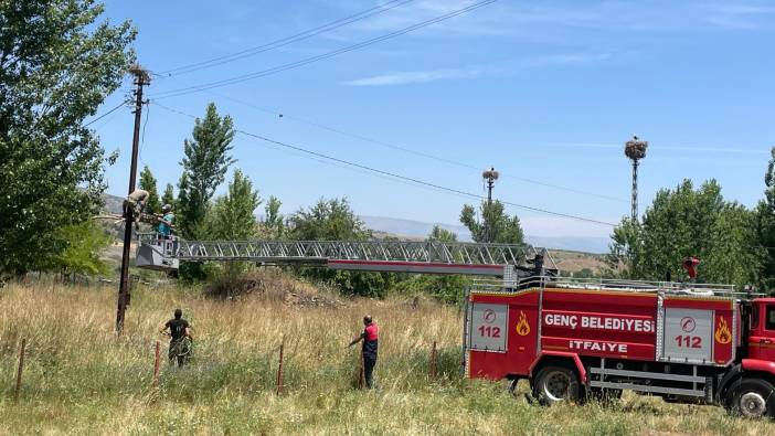 Bingöl'de yıkılan leylek yuvası onarıldı