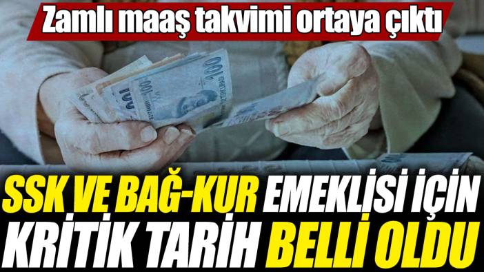 SSK ve Bağ-Kur emeklisi için kritik tarih belli oldu! Zamlı maaş takvimi ortaya çıktı