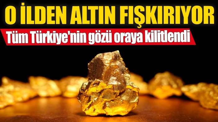 O ilden altın fışkırıyor' Tüm Türkiye'nin gözü oraya kilitlendi