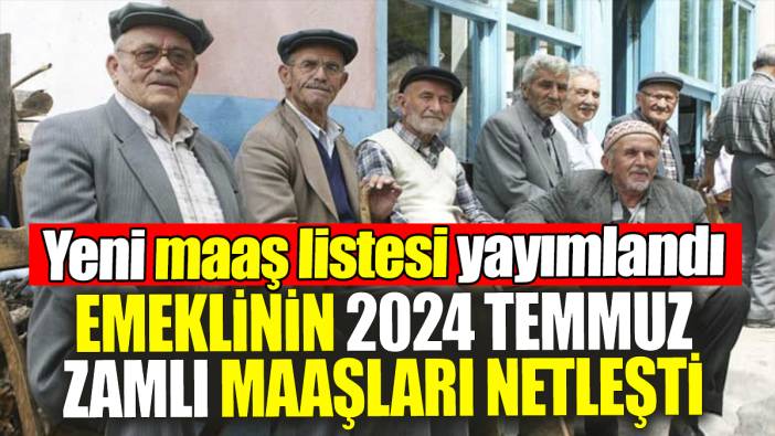 Emeklinin 2024 temmuz zamlı maaşları netleşti: Yeni maaş listesi yayımlandı