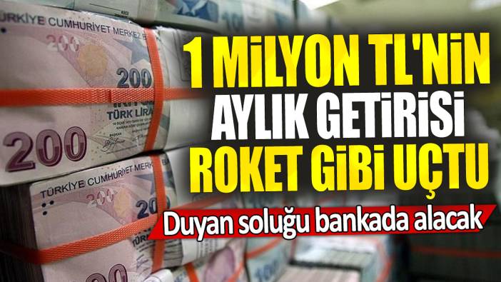 1 milyon TL'nin  aylık getirisi roket gibi uçtu: Duyan soluğu bankada alacak