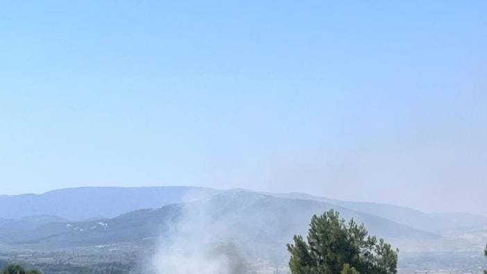 Muğla'da sazlık alanda yangın