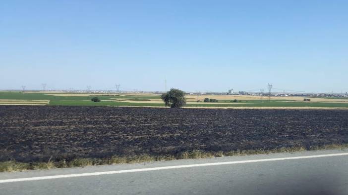 Tekirdağ'da buğday tarlası küle döndü