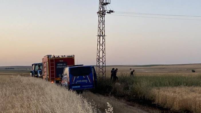 Elektrik akımına kapılıp yanarak yere düşen kuşlar yangına neden oldu