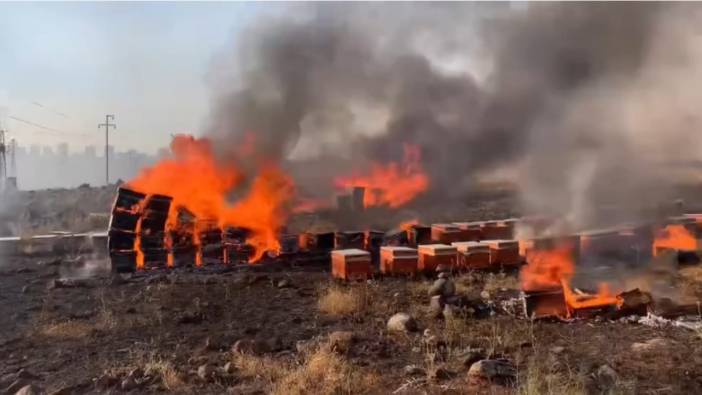 Şanlıurfa’da yangın:  Yüzlerce arı kovanı kül oldu