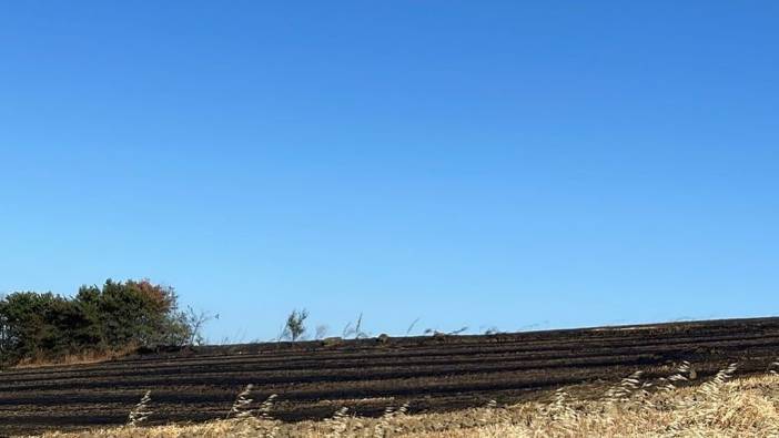 Tekirdağ’da  buğday tarlası alev alev yandı