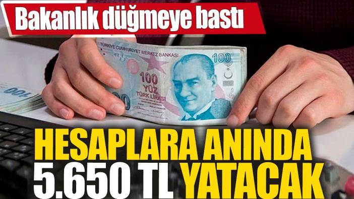 Bakanlık düğmeye bastı! Hesaplara anında  5.650 TL yatacak