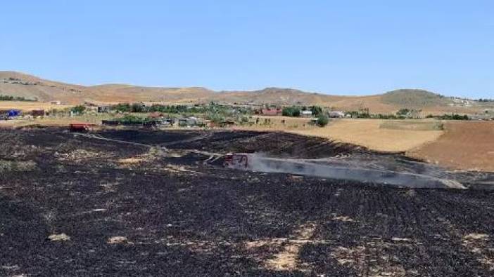 Ankara'da ekili 100 dönüm arpa ve buğday yandı