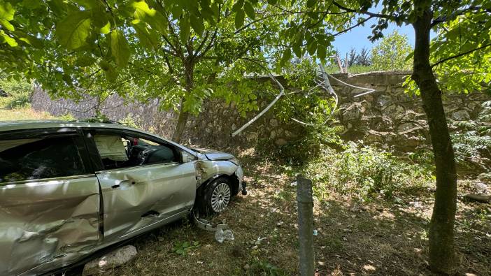 Kocaeli'de otomobil meyve bahçesine düştü