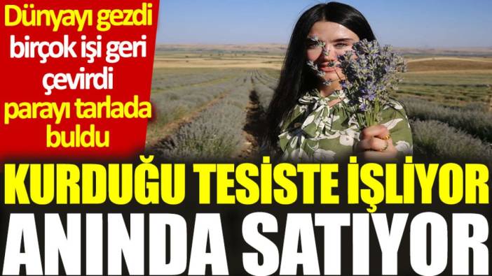 Dünyayı gezdi, birçok işi geri çevirdi, parayı tarlada buldu: Kurduğu tesiste işliyor, anında satıyor