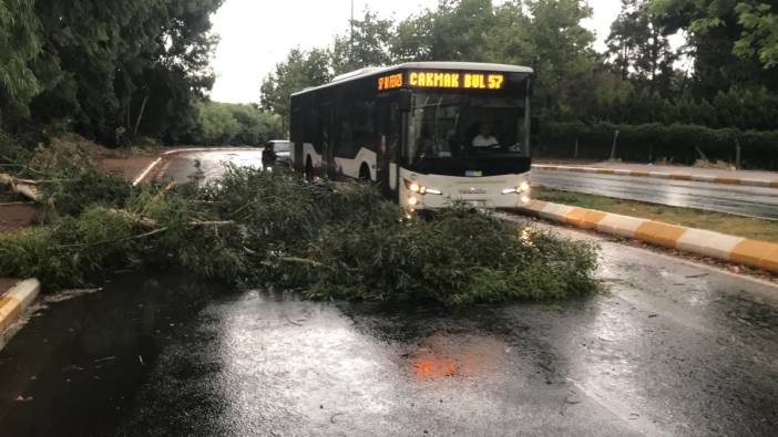 Şanlıurfa’da fırtına: Ağaçlar devrildi, yollar göle döndü