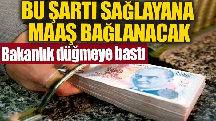 Bu şartı sağlayana maaş bağlanacak! Bakanlık düğmeye bastı
