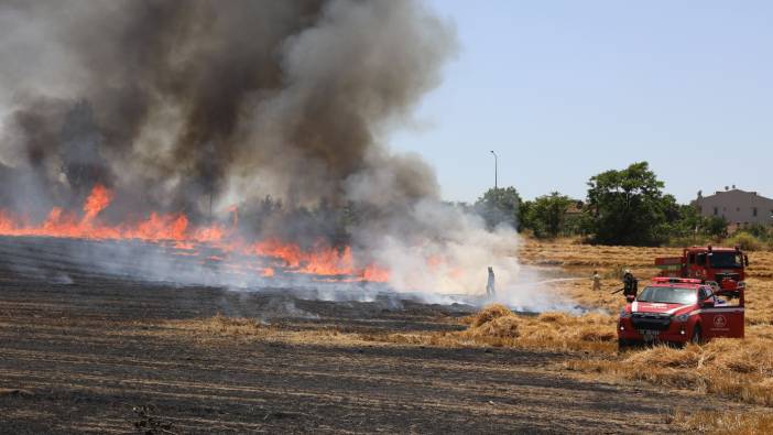 Edirne'de anız yangını