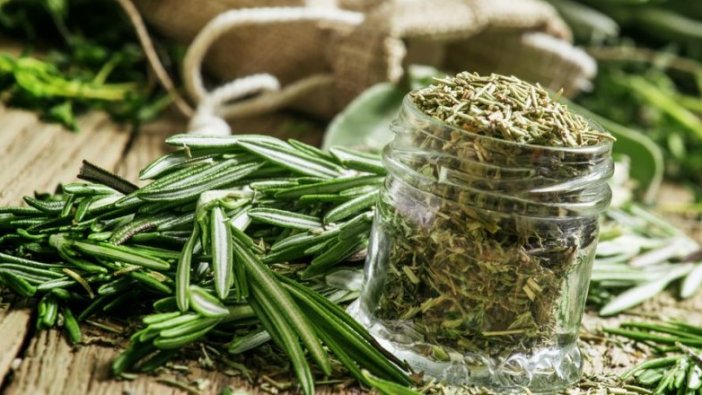 İşte biberiyenin bilinmeyen faydaları!