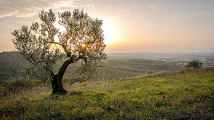 Doğal kaynaklar bugün tükendi