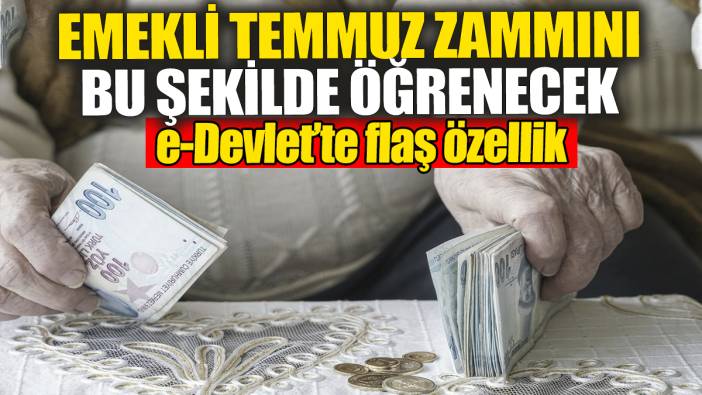 Emekliler temmuz zammını artık bu şekilde öğrenecek. e-Devlet'e flaş özellik geldi
