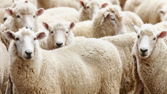 Bayram öncesi skandal!