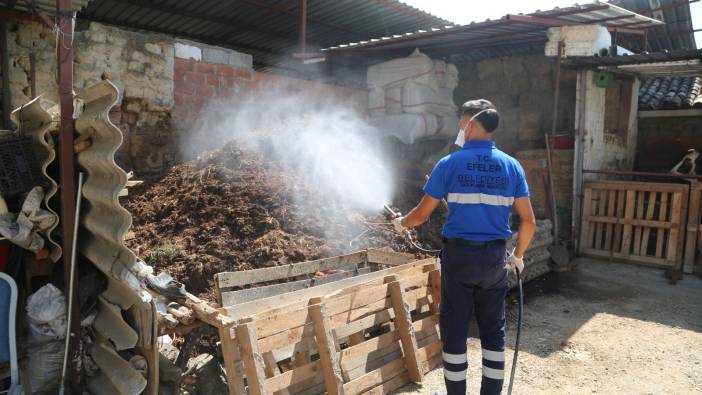 İlaçlama çalışmaları devam ediyor