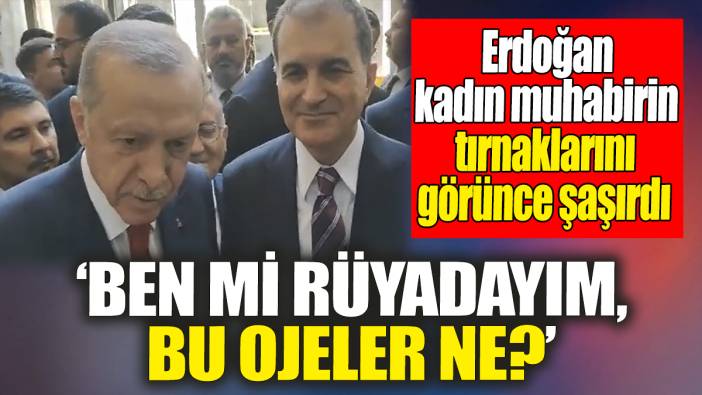 Erdoğan kadın muhabirin tırnaklarını görünce şaşırdı: Ben mi rüyadayım, bu ojeler ne?