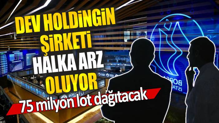 Dev holdingin şirketi halka arz oluyor: 75 milyon lot dağıtacak