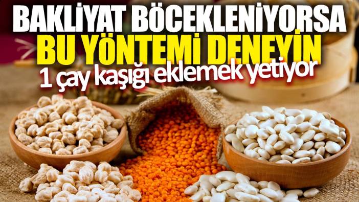 Bakliyat böcekleniyorsa bu yöntemi deneyin! 1 çay kaşığı eklemek yetiyor