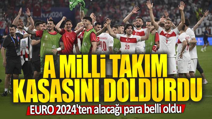 A Milli Takım kasasını doldurdu: EURO 2024'ten alacağı para belli oldu