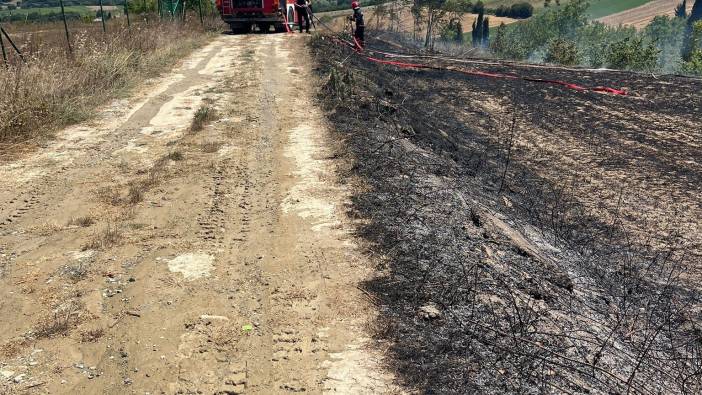 Sakarya'da anız yangını