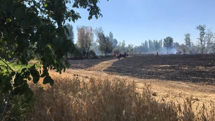 Eskişehir’de buğday tarlası küle döndü