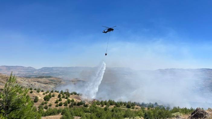 Çay yapmak için ateş yakan çobanlar ormanı yaktı