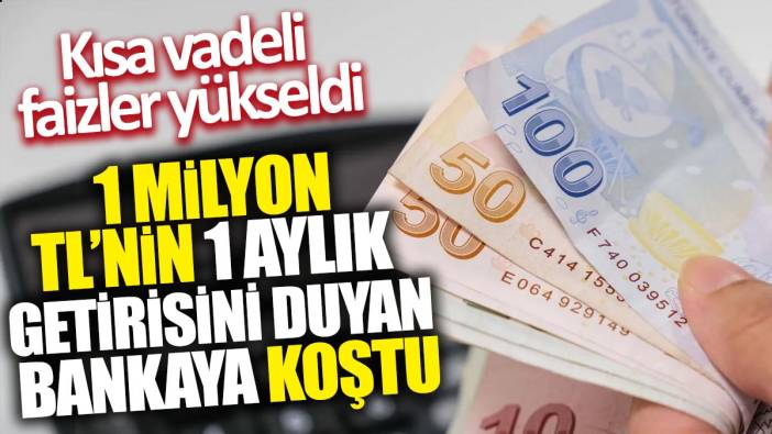 Kısa vadeli faizler yükseldi: 1 milyon TL'nin 1 aylık getirisini duyan bankaya koştu