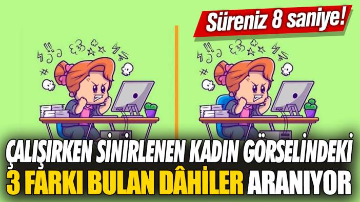 Çalışırken sinirlenen kadın görselindeki 3 farkı bulan dâhiler aranıyor! Süreniz 8 saniye!