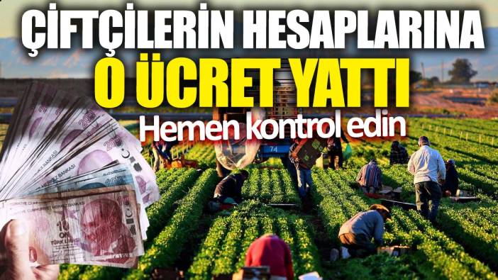 Çiftçilerin hesaplarına o ücret yattı: Hemen kontrol edin