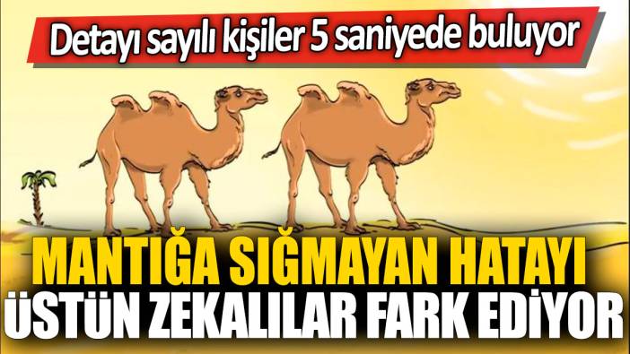 Mantığa sığmayan hatayı üstün zekalılar fark ediyor!  Detayı sayılı kişiler 5 saniyede buluyor