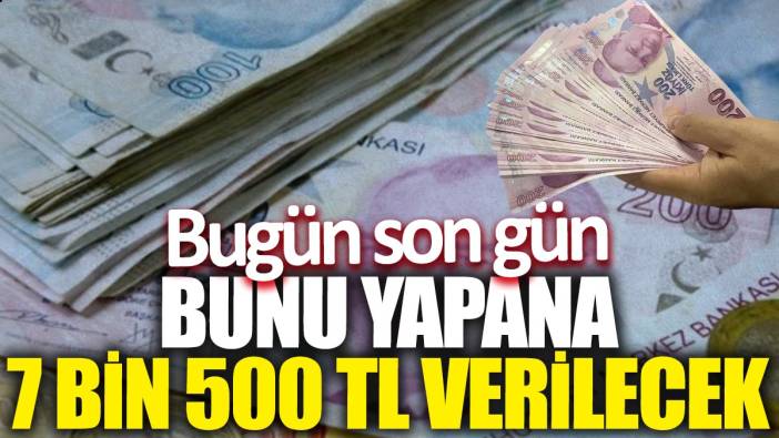 Bunu yapana 7 bin 500 TL verilecek! Bugün son gün