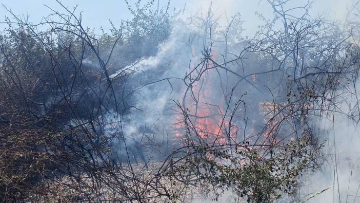 Yalova'da arazi alev alev yandı