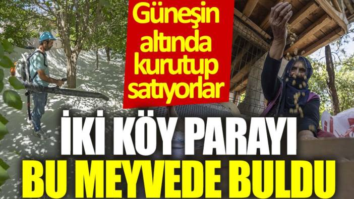 İki köy parayı bu meyvede buldu: Güneşin altında kurutup satıyorlar