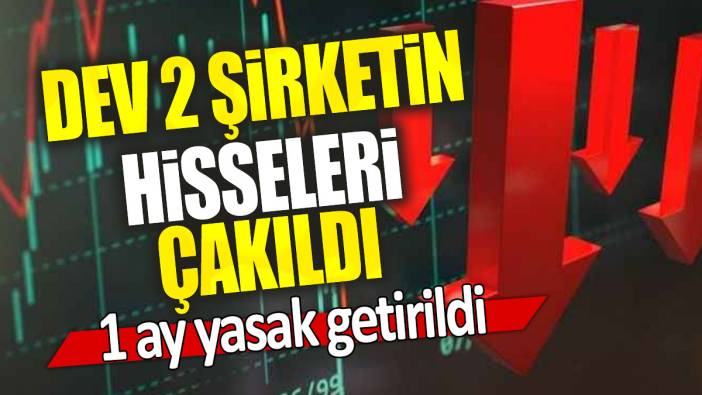 Dev 2 şirketin hisseleri çakıldı: 1 ay yasak getirildi