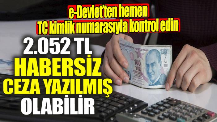 e-Devlet'ten hemen TC kimlik numarasıyla kontrol edin! 2 bin 52 TL habersiz ceza yazılmış olabilir