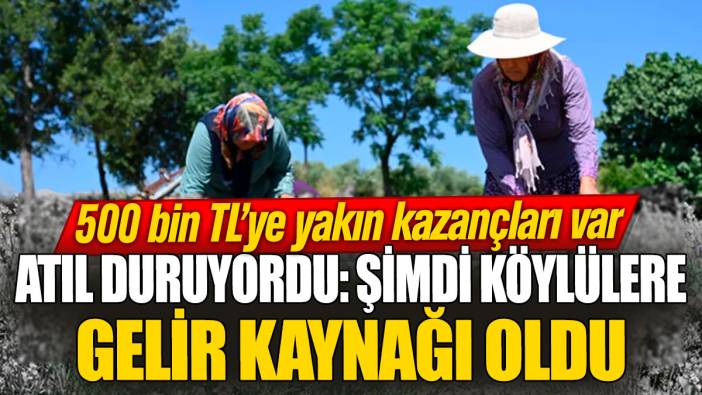 Atıl duruyordu: Şimdi köylülere gelir kaynağı oldu! 500 bin TL’ye yakın kazançları var