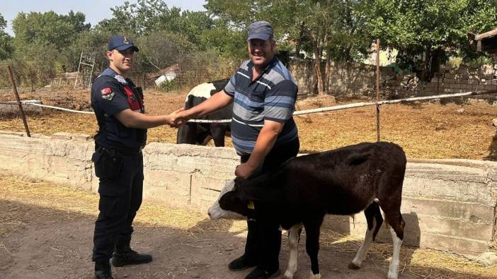 Edirne'de kayıp buzağı dron ile bulundu