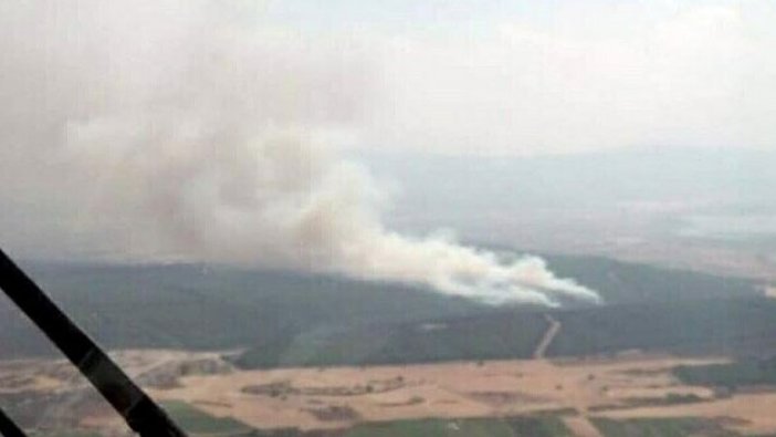 İzmir'de orman yangını