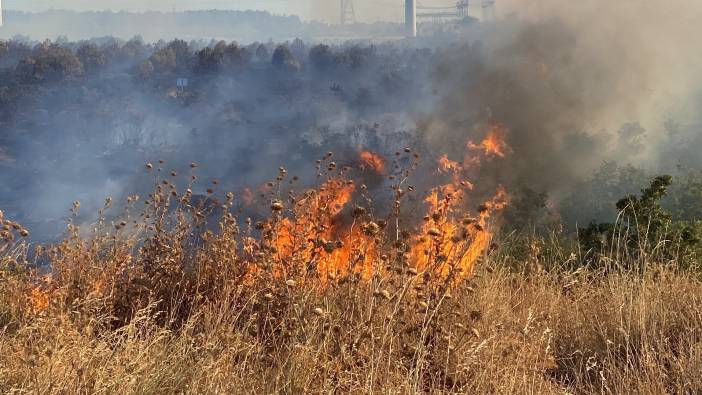 Samsun'da ziraat odasından çiftçilere 'anız yangını' uyarısı