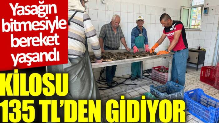 Yasağın bitmesiyle bereket yaşandı: Kilosu 135 TL’den gidiyor