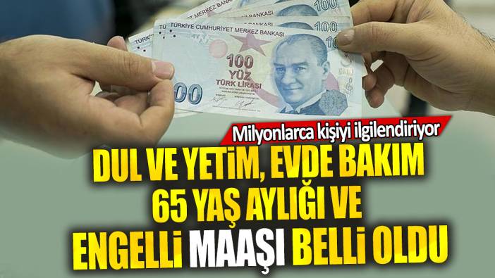 Dul ve yetim, evde bakım, 65 yaş aylığı ve engelli maaşı belli oldu: Milyonlarca kişiyi ilgilendiriyor