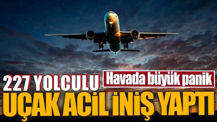 Havada büyük panik. 227 yolculu uçak acil iniş yaptı