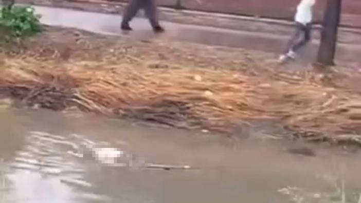 Yağmur sularının yükselttiği derede erkek cesedi bulundu