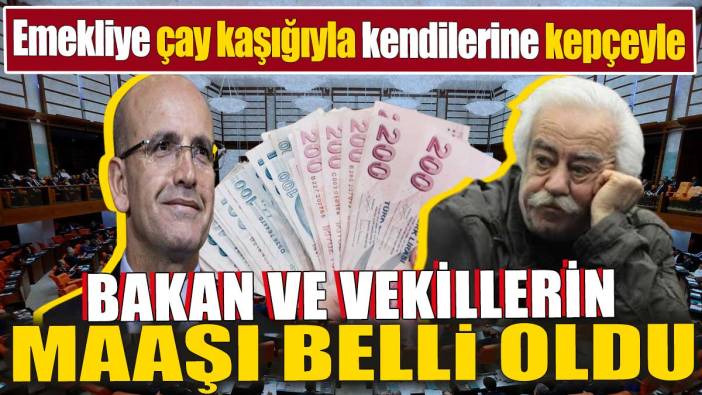 Bakanların ve vekillerin maaşı belli oldu. Emekliye çay kaşığıyla kendilerine kepçeyle